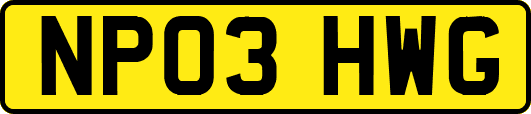 NP03HWG