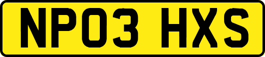 NP03HXS