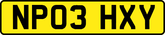 NP03HXY