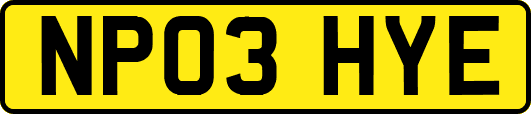 NP03HYE