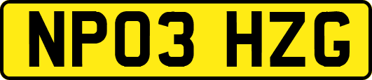 NP03HZG
