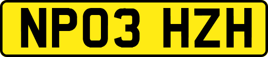 NP03HZH