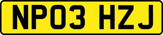 NP03HZJ