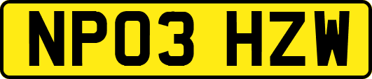 NP03HZW