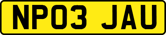 NP03JAU