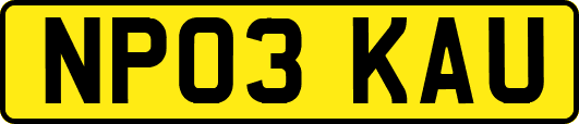 NP03KAU
