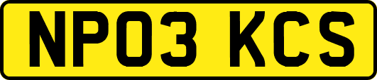 NP03KCS