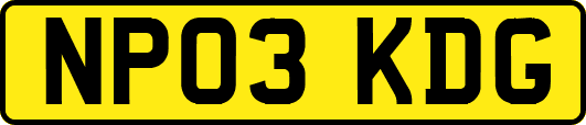 NP03KDG
