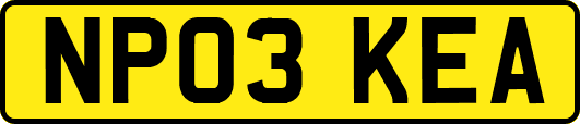 NP03KEA