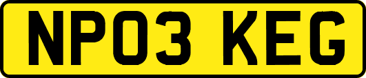 NP03KEG