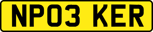 NP03KER