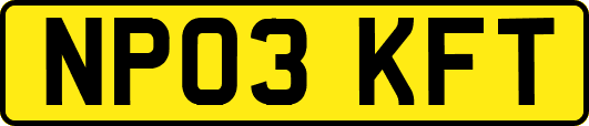 NP03KFT