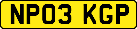 NP03KGP