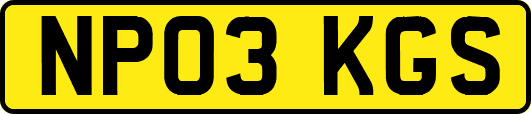 NP03KGS