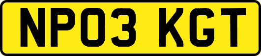 NP03KGT
