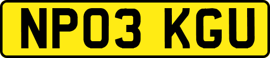 NP03KGU