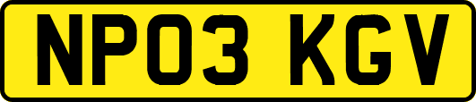 NP03KGV