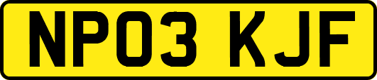 NP03KJF