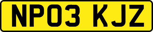 NP03KJZ