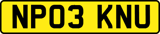 NP03KNU