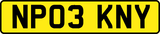 NP03KNY