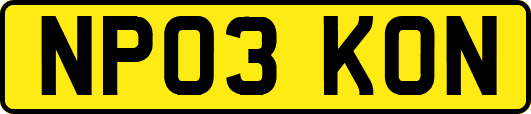 NP03KON