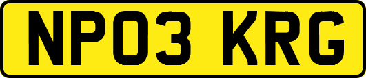 NP03KRG