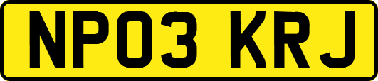 NP03KRJ