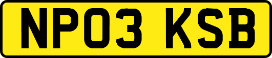 NP03KSB