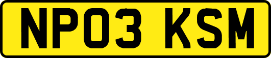 NP03KSM