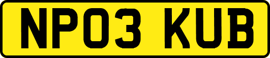 NP03KUB