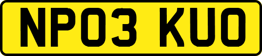 NP03KUO