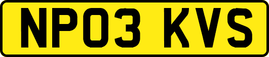 NP03KVS