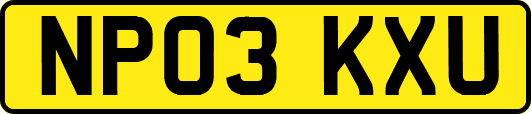 NP03KXU