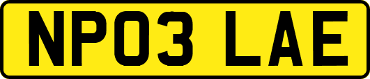 NP03LAE