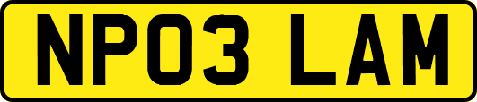 NP03LAM