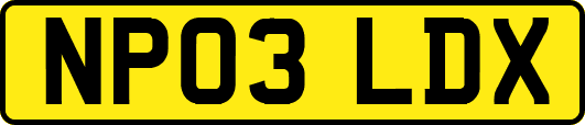 NP03LDX