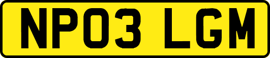 NP03LGM