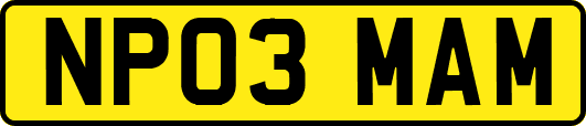 NP03MAM