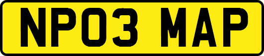 NP03MAP
