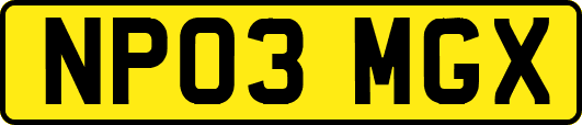 NP03MGX