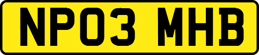 NP03MHB