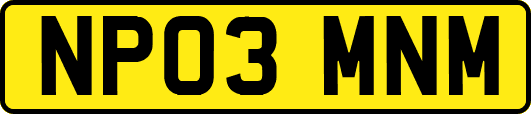 NP03MNM