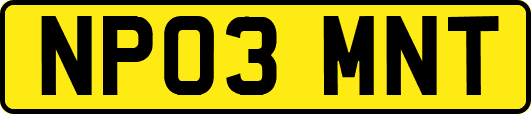 NP03MNT