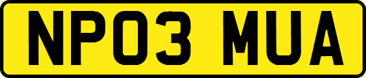 NP03MUA