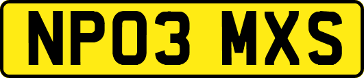 NP03MXS