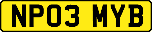 NP03MYB