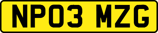 NP03MZG
