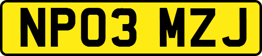 NP03MZJ