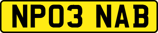 NP03NAB